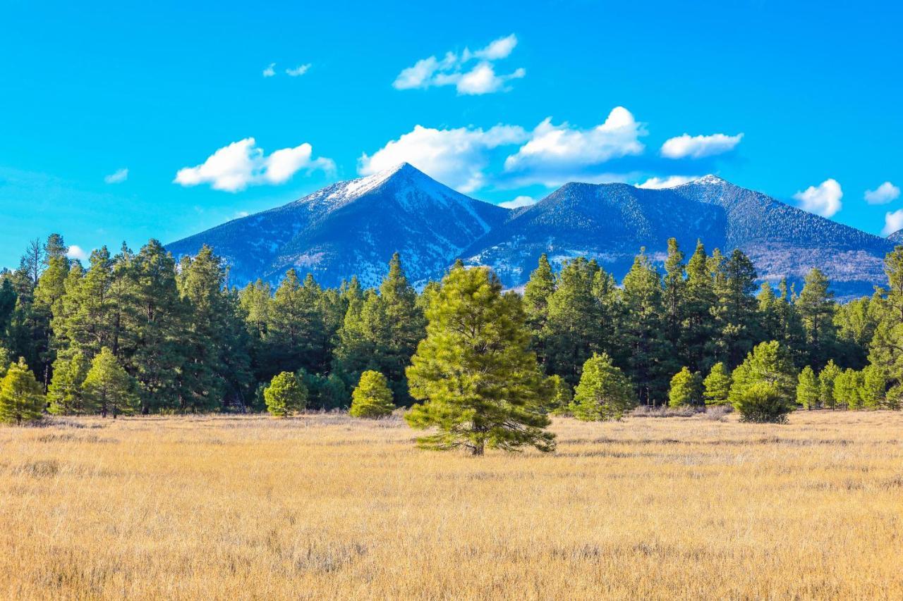 Mt. Elden Adventure Villa แฟลกสตาฟ ภายนอก รูปภาพ